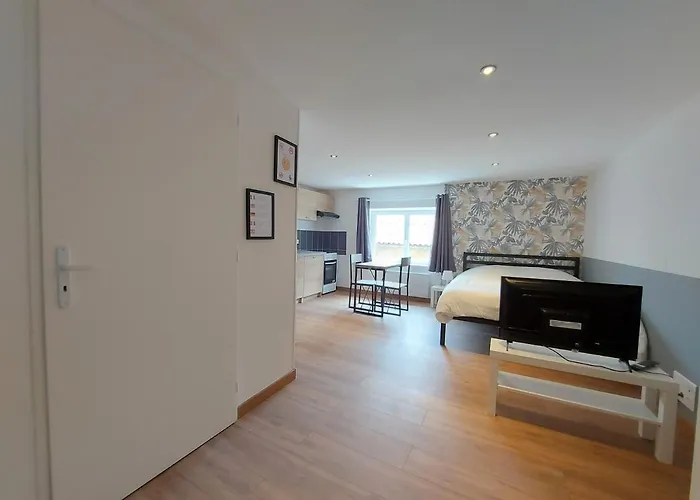 ° 2 - Centre ° 公寓 吕内维尔